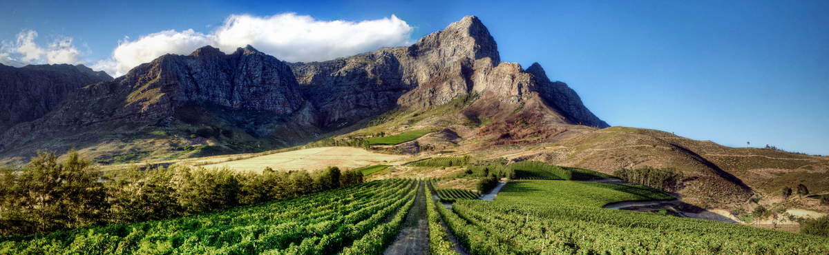 06 Days Garden Route with Cape Winelands Tour