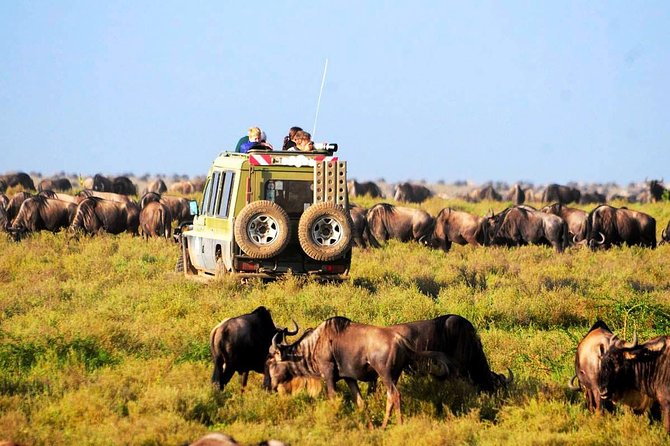 06 DAYS TANZANIA SAFARI