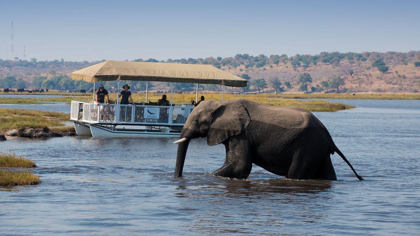 4 DAYS VICTORIA FALLS + CHOBE TOUR