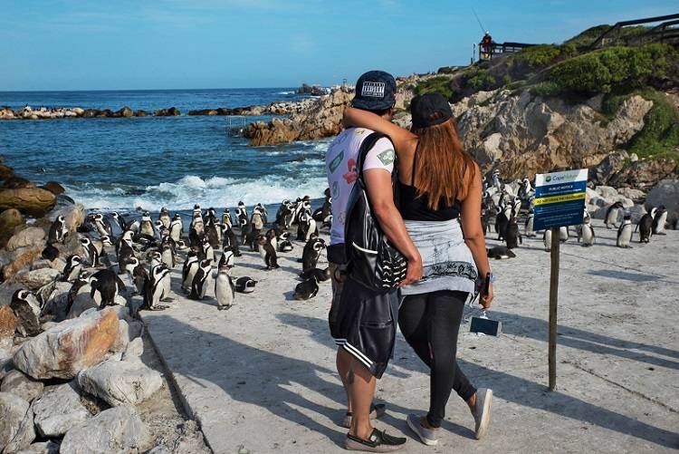  14 Days South Africa Honeymoon Tour Package