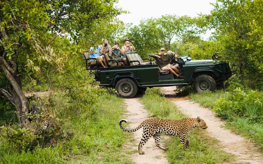 10 DAYS PRIVATE SOUTH AFRICA TOUR