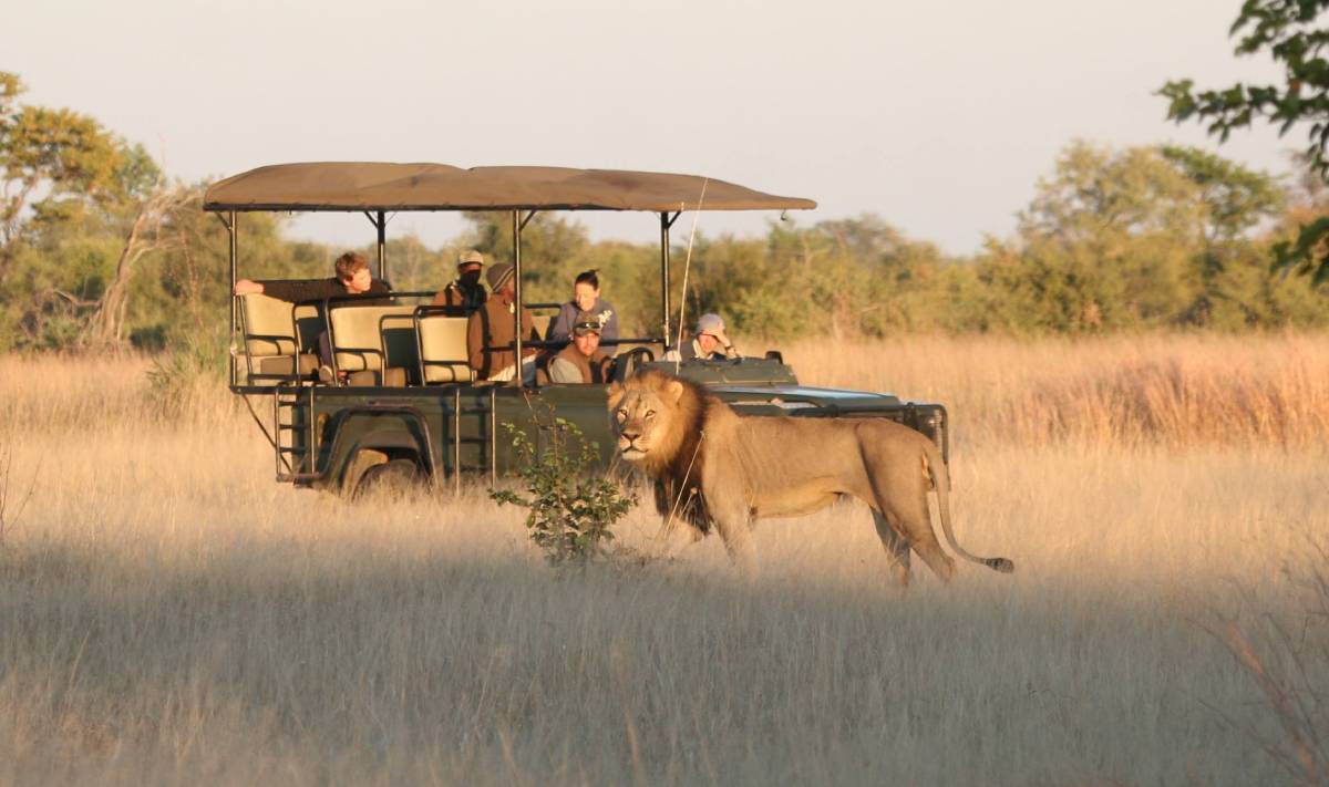 10 Days Zimbabwe Tour Package