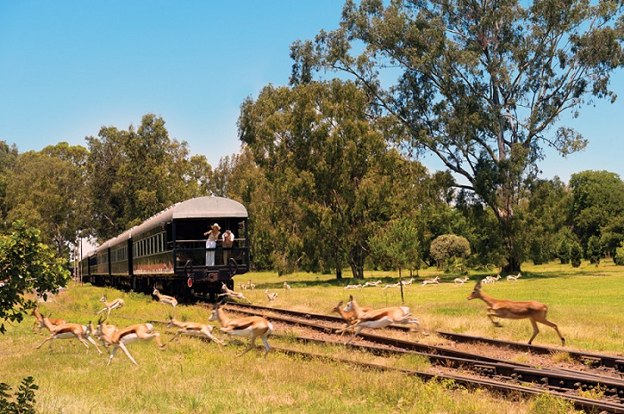 ROVOS RAIL NAMIBIA SAFARI