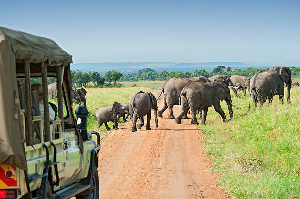 08 DAYS TANZANIA SAFARI