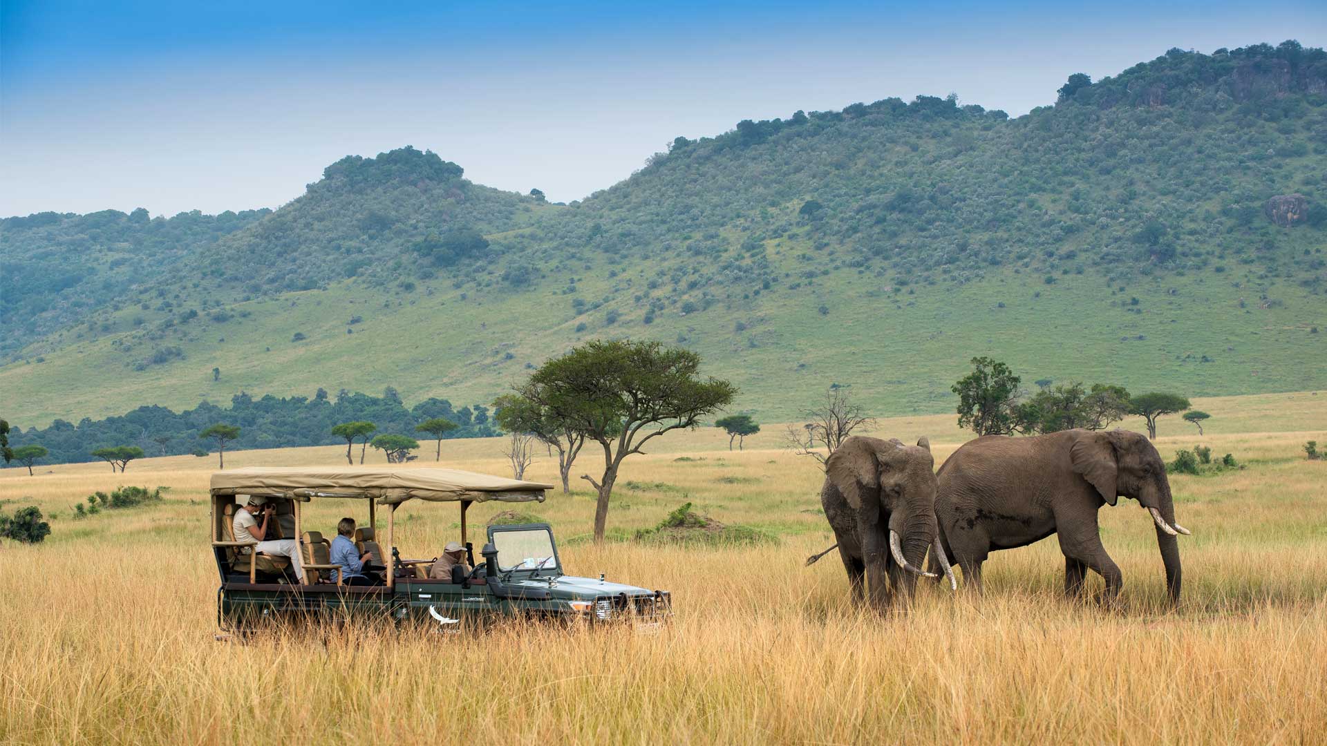 9D KENYA SAFARI TOUR