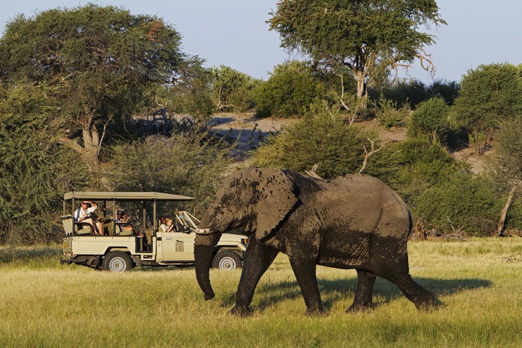 05 DAYS CHOBE & OKAVANGO SAFARI TOUR