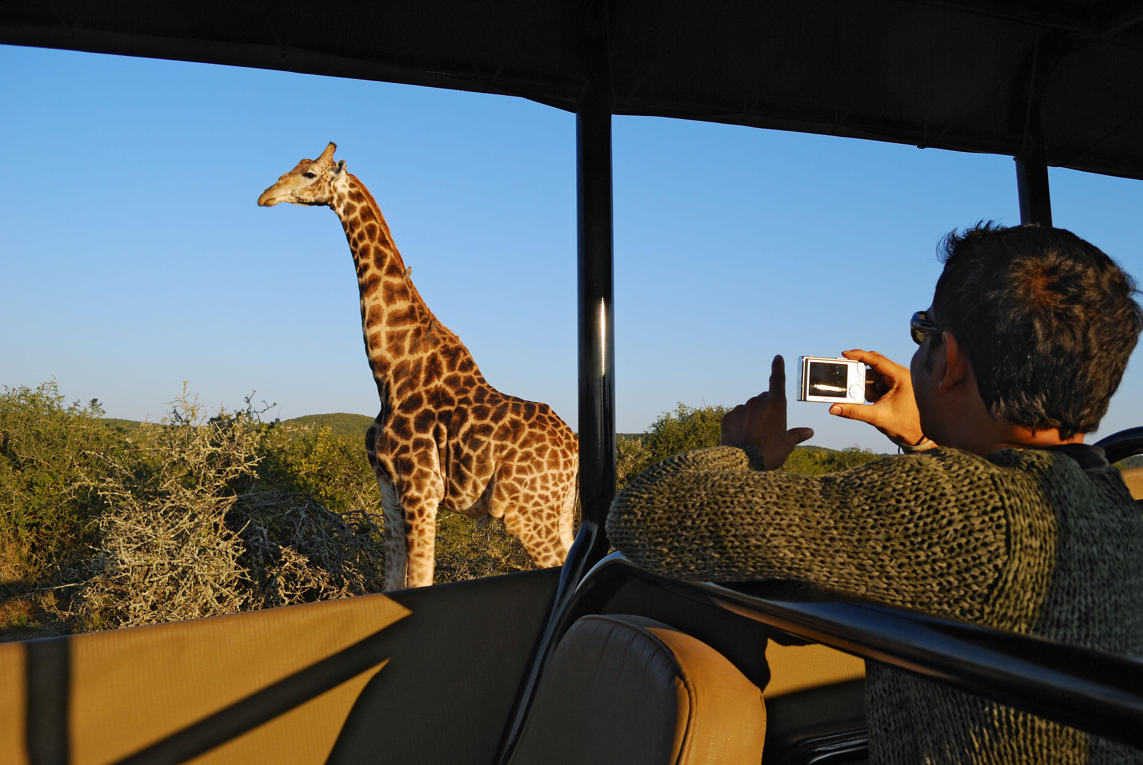 09 Days Garden Route with Kruger Safari Tour