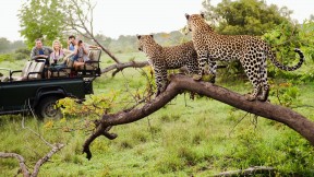 12 Days South Africa Safari Tour Package