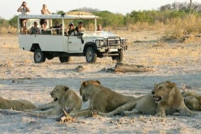 03 DAYS CHOBE NATIONAL PARK TOUR