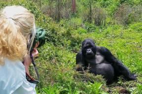 03 Days Uganda Gorilla Safari Tour
