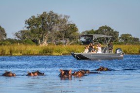 5 DAYS VICTORIA FALLS & OKAVANGO TOUR