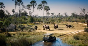 05 Days Victoria Falls and Chobe Safari Tour