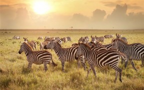 07 Days Tour of Johannesburg with Kruger Safari
