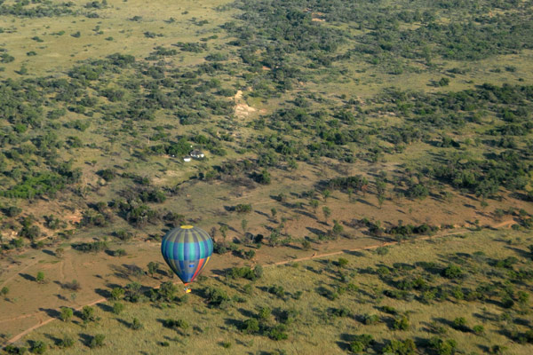 Hot air balloon safari