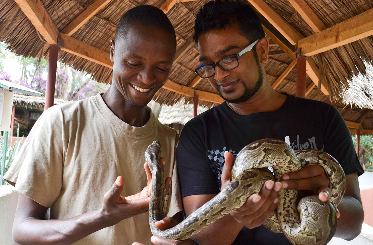 Meserani Snake Park