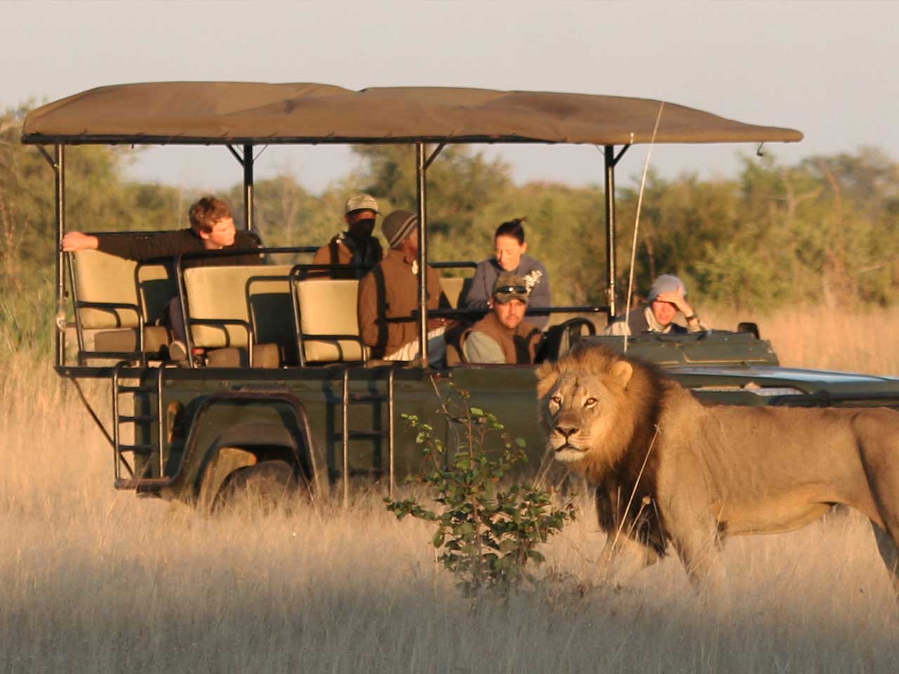 Game Drive at Hwange National Park