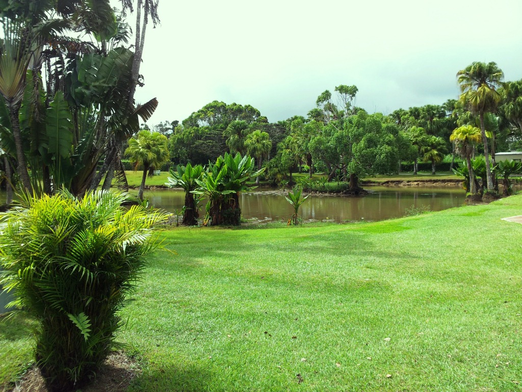 Curepipe Botanical Garden Botanical Garden