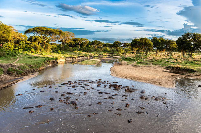 Selous Game Reserve