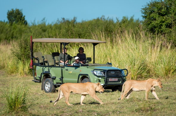 Game Drives