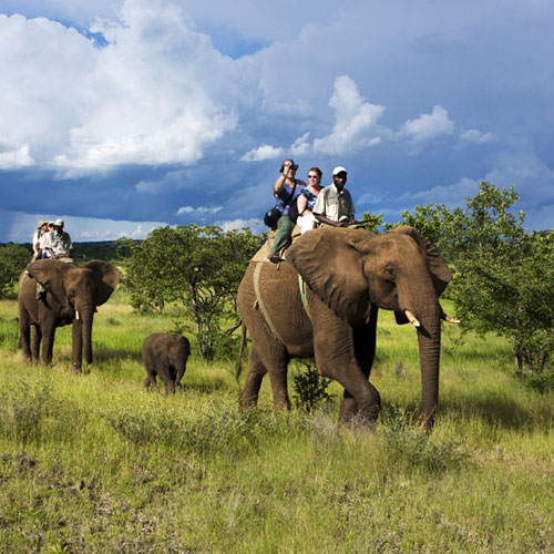 Safari at Elephant Sanctuary
