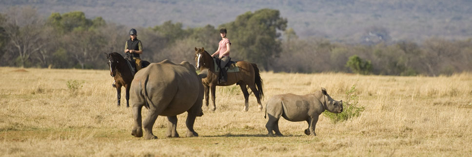 Horse Back Safari