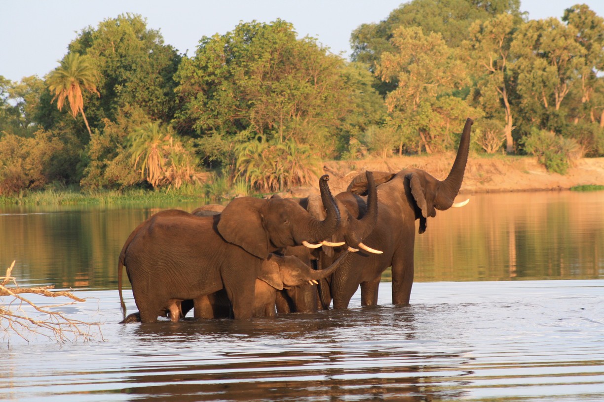 Mosi-oa-tunya national park