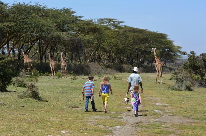 Safari with Animals