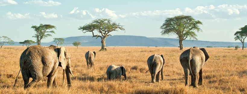 Serengeti National Park