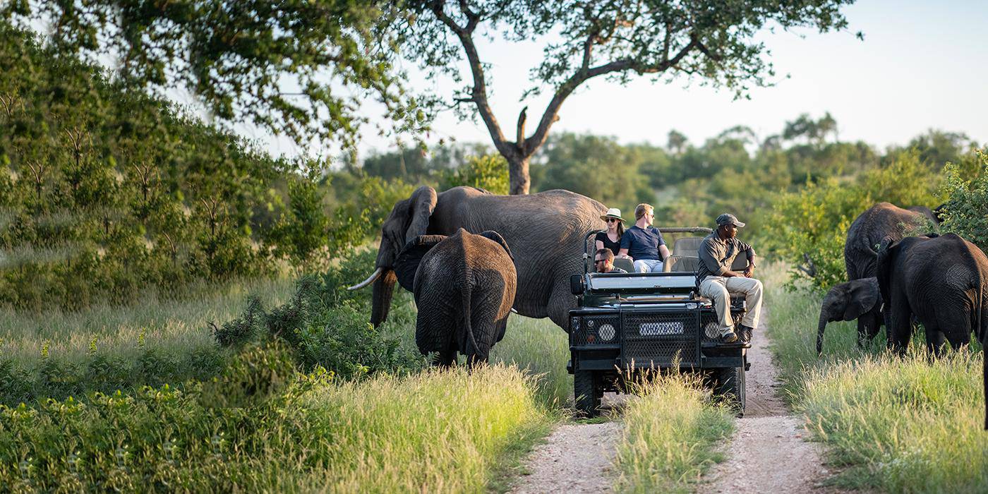 kruger-national-park