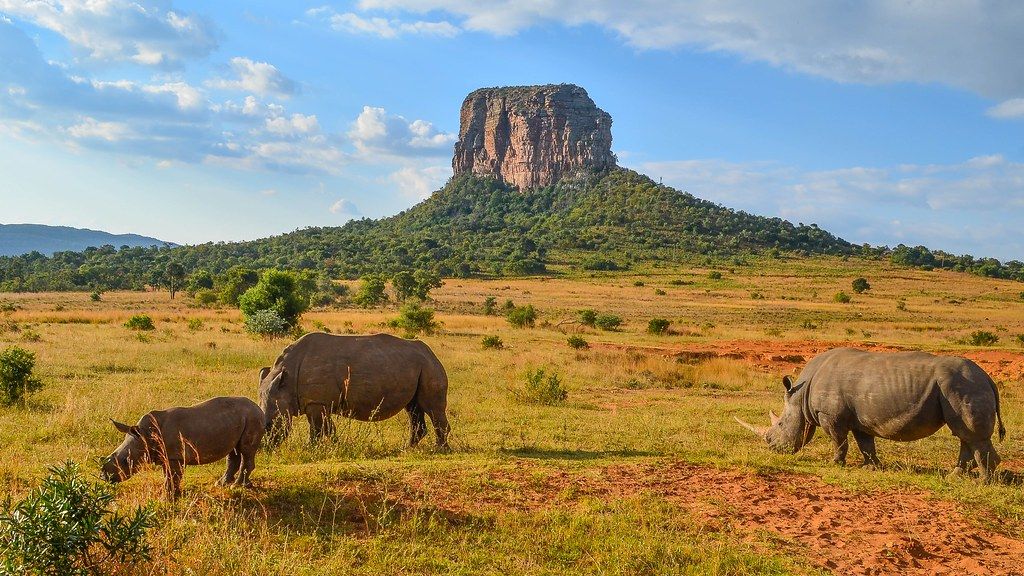 entabeni-game-reserve