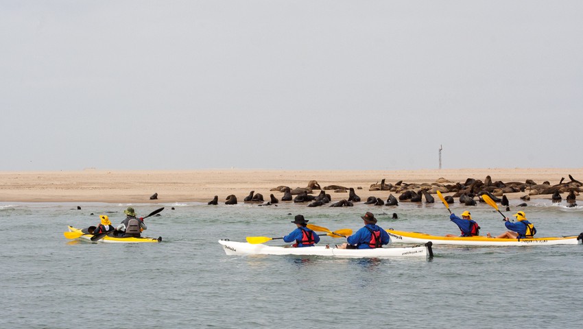 Kayaking on Walvis Bay Lagoon