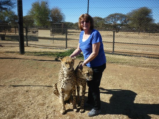 Predator World in Sun City