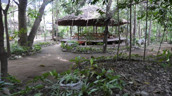 Picnic spot at Themi Living Gardens