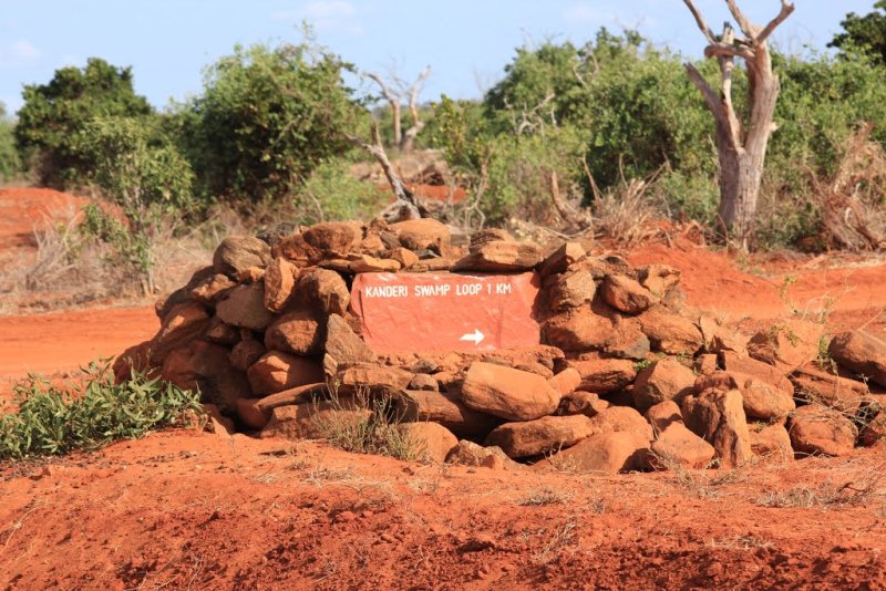 Kanderi Swamps (Tsavo East)