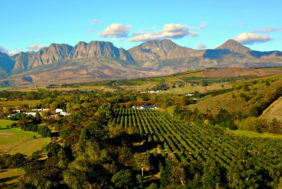 Stellenbosch