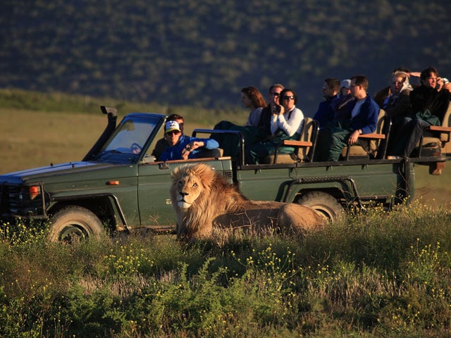 Game drive