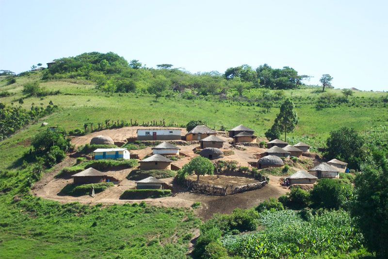 Visit Zulu Homestead