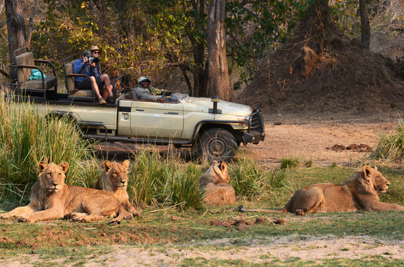 Wildlife Tour