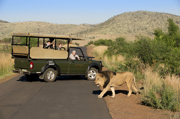 Pilanesberg National Park