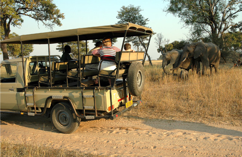 Game Drives