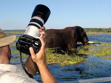 Photography tour at Chobe