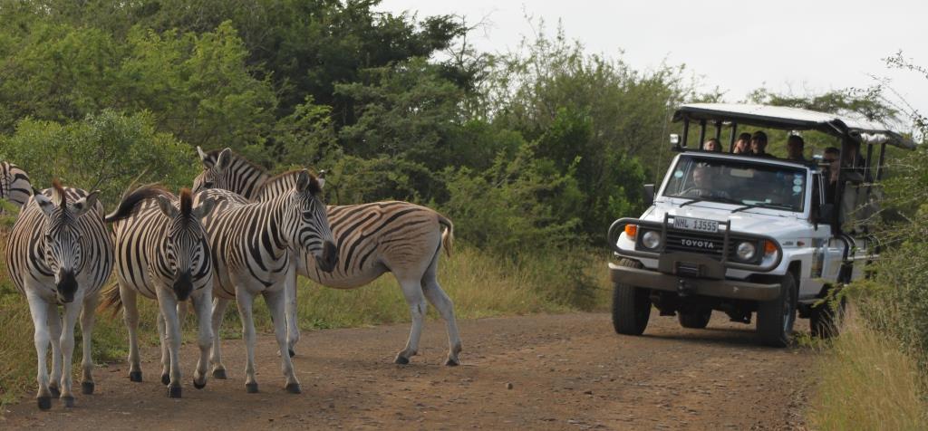 Umfolozi Big 5 Game Reserve