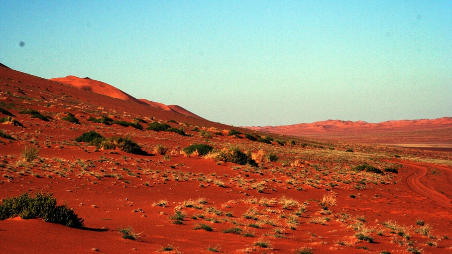 Kalahari Red Dunes