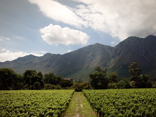 Chamonix Wine Farm 