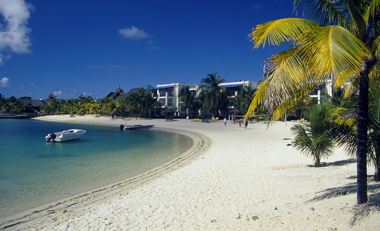 The Beach Tours