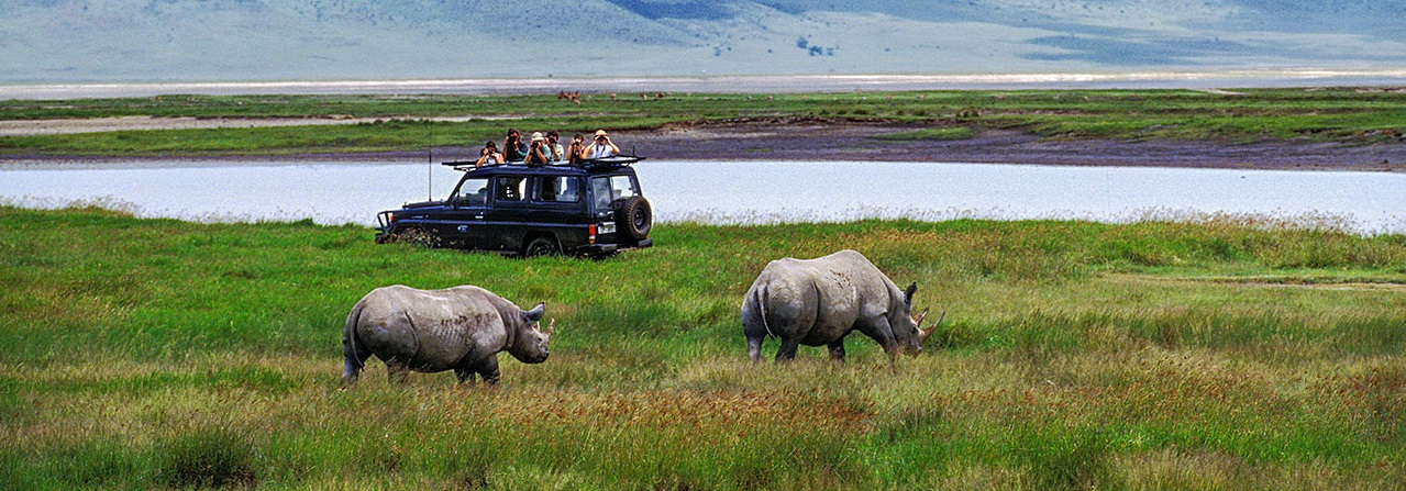 Ngorongoro 