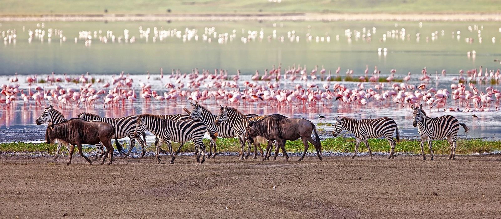 lake-manyara