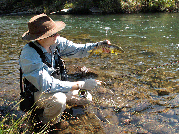 Trout Fishing