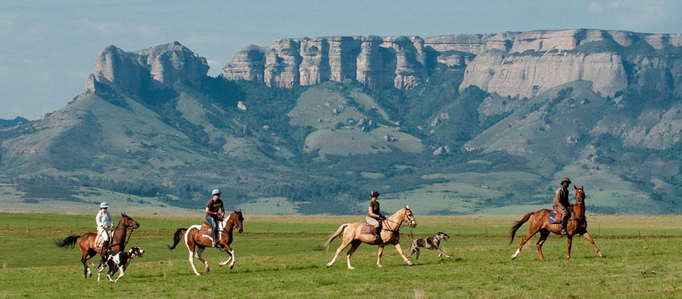 Horse trail at the Drakensberg