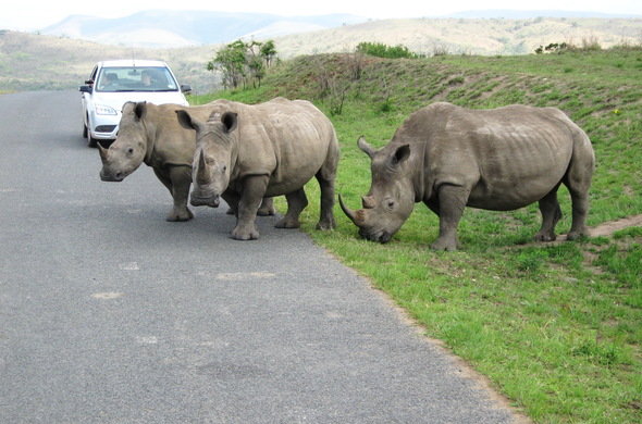 Tour at Tsitsikamma National Park